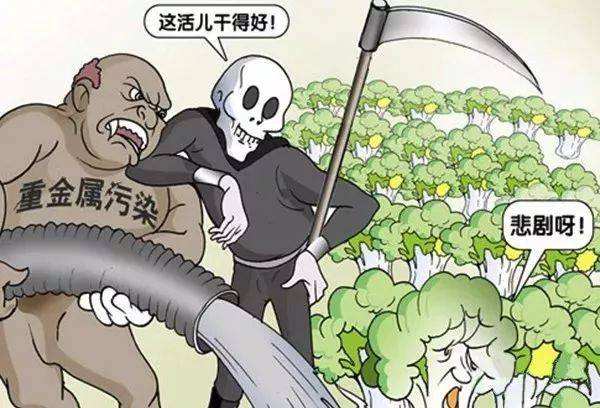 糧食安全如何得到保障？